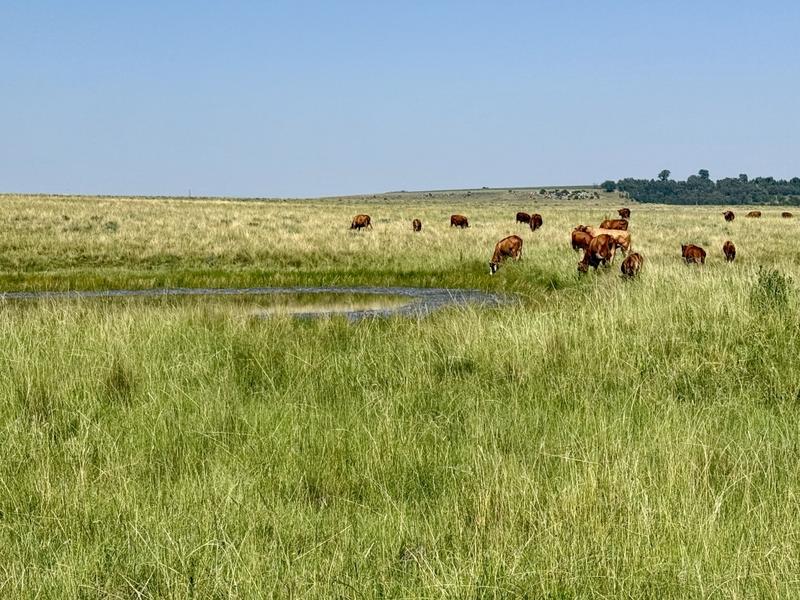 0 Bedroom Property for Sale in Bethlehem Rural Free State